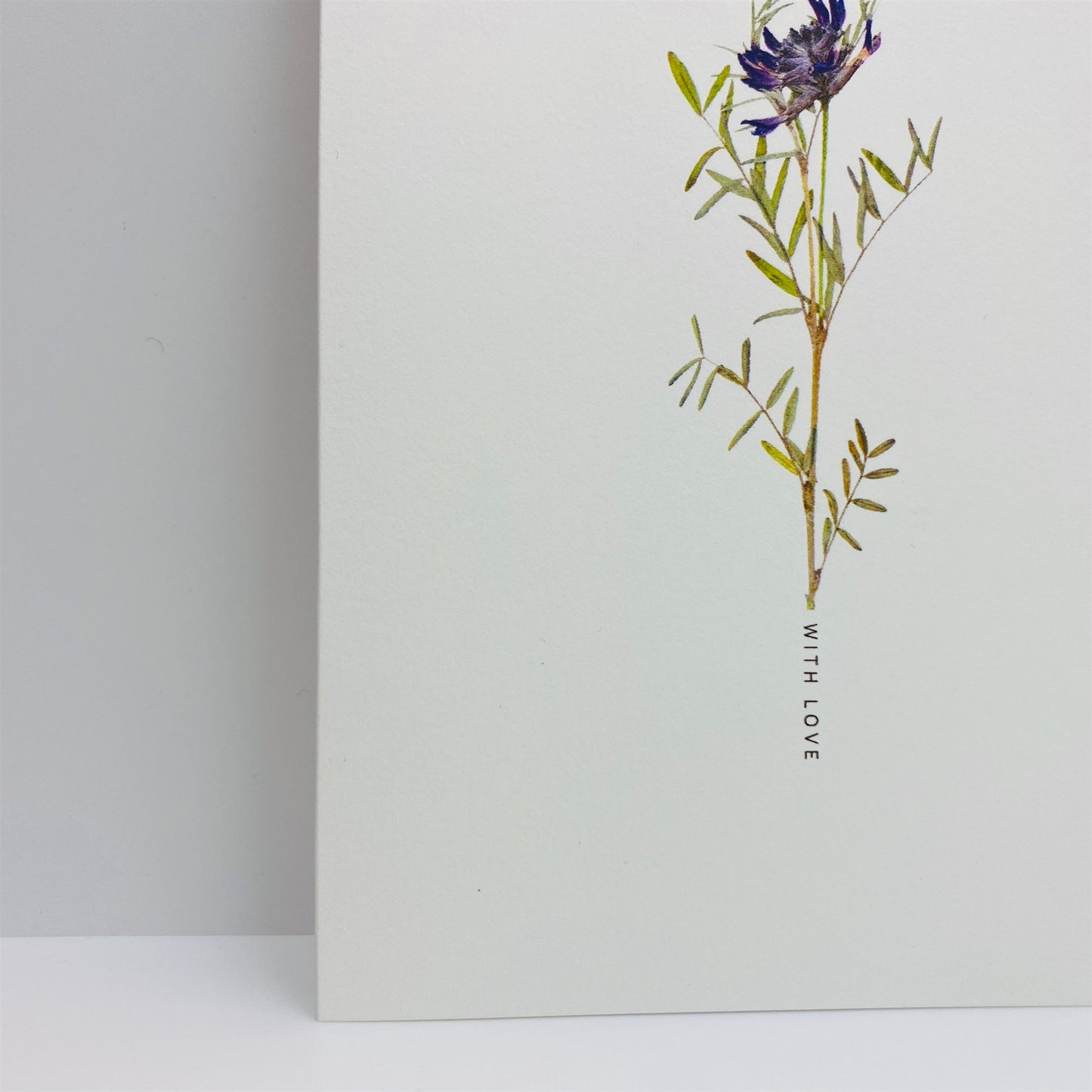 Pressed Flower Greeting Cards