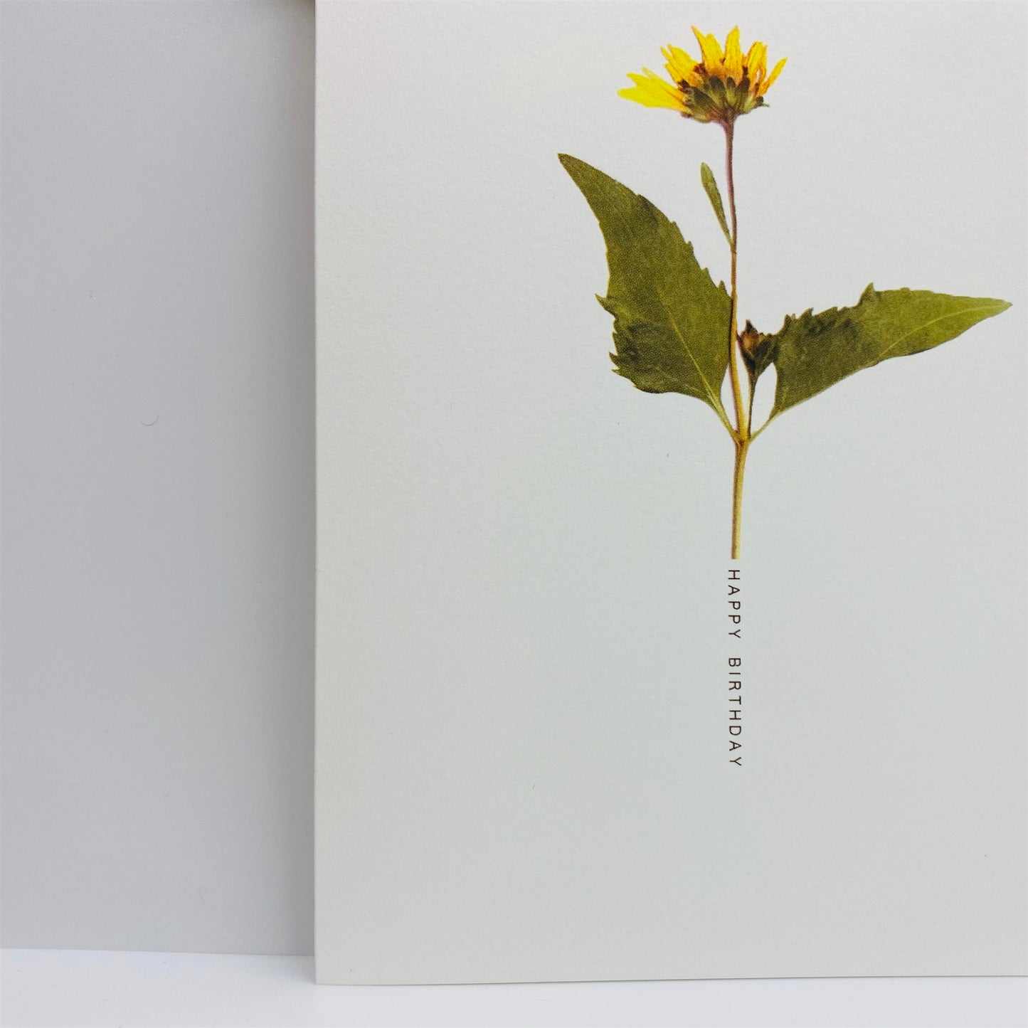 Pressed Flower Greeting Cards