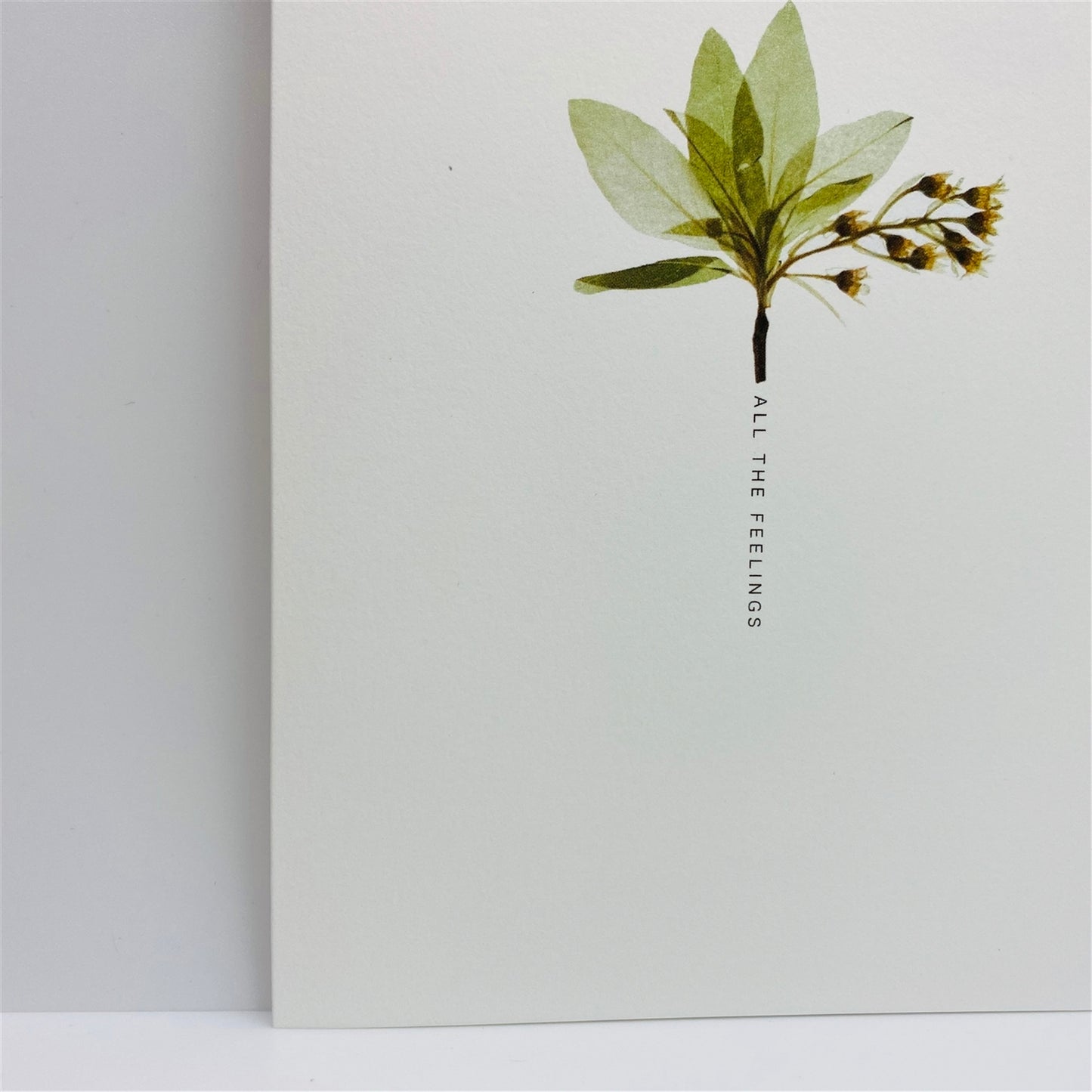 Pressed Flower Greeting Cards