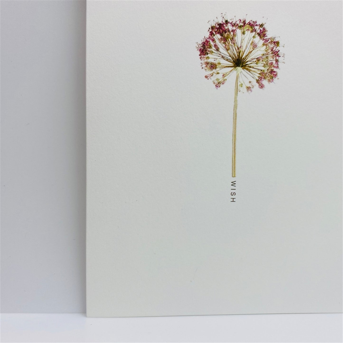 Pressed Flower Greeting Cards