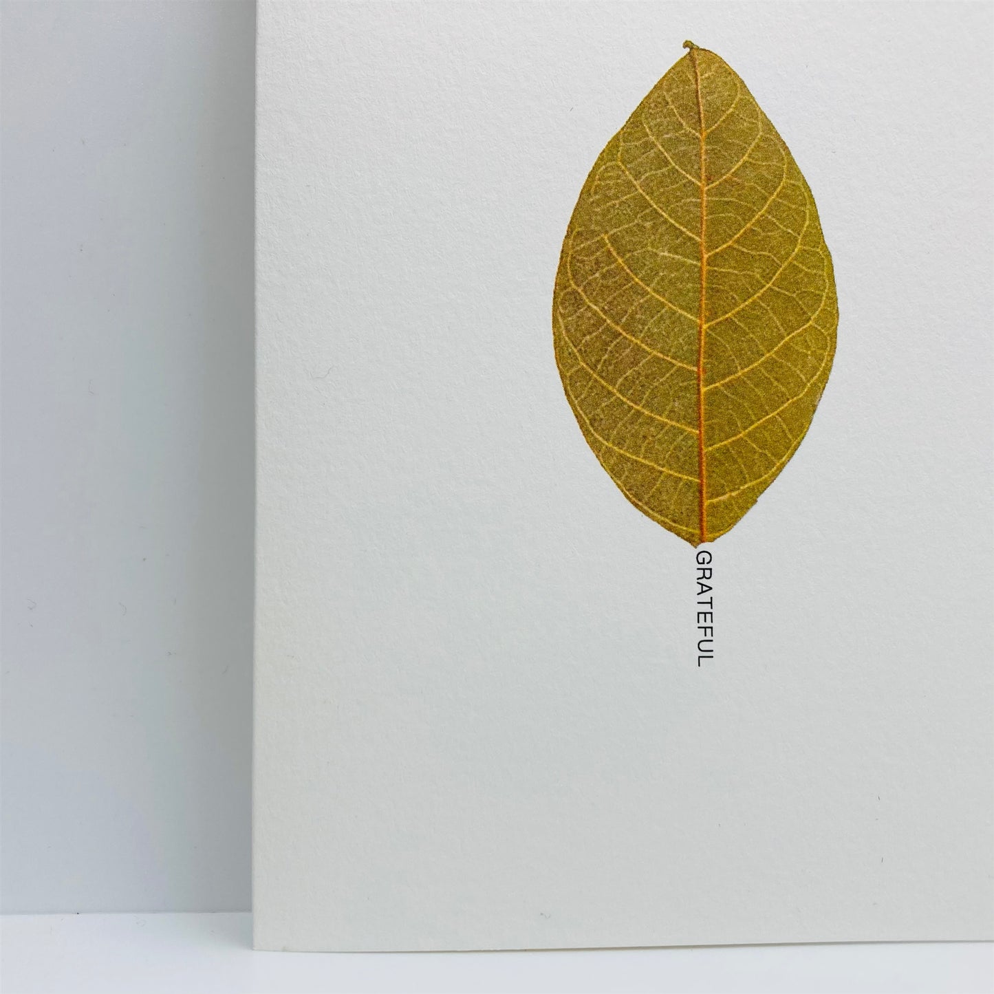 Pressed Flower Greeting Cards