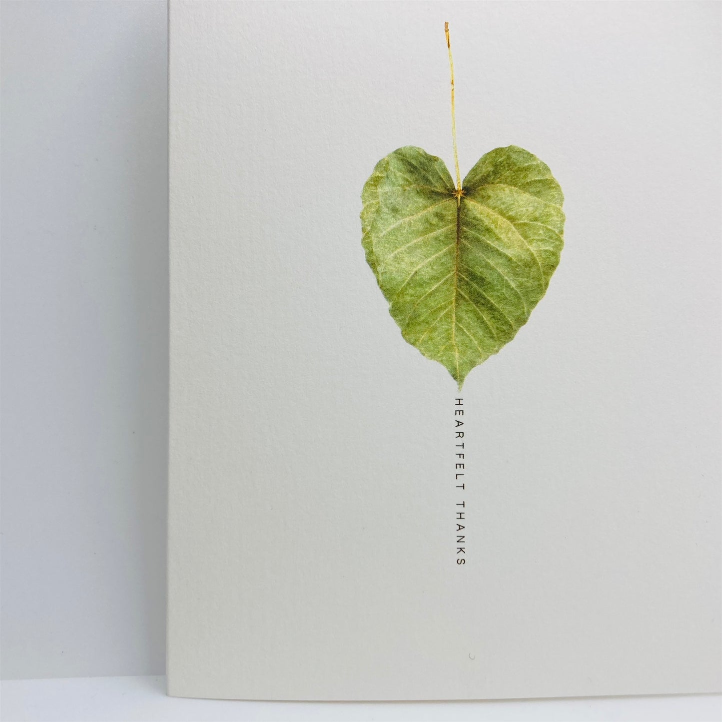 Pressed Flower Greeting Cards