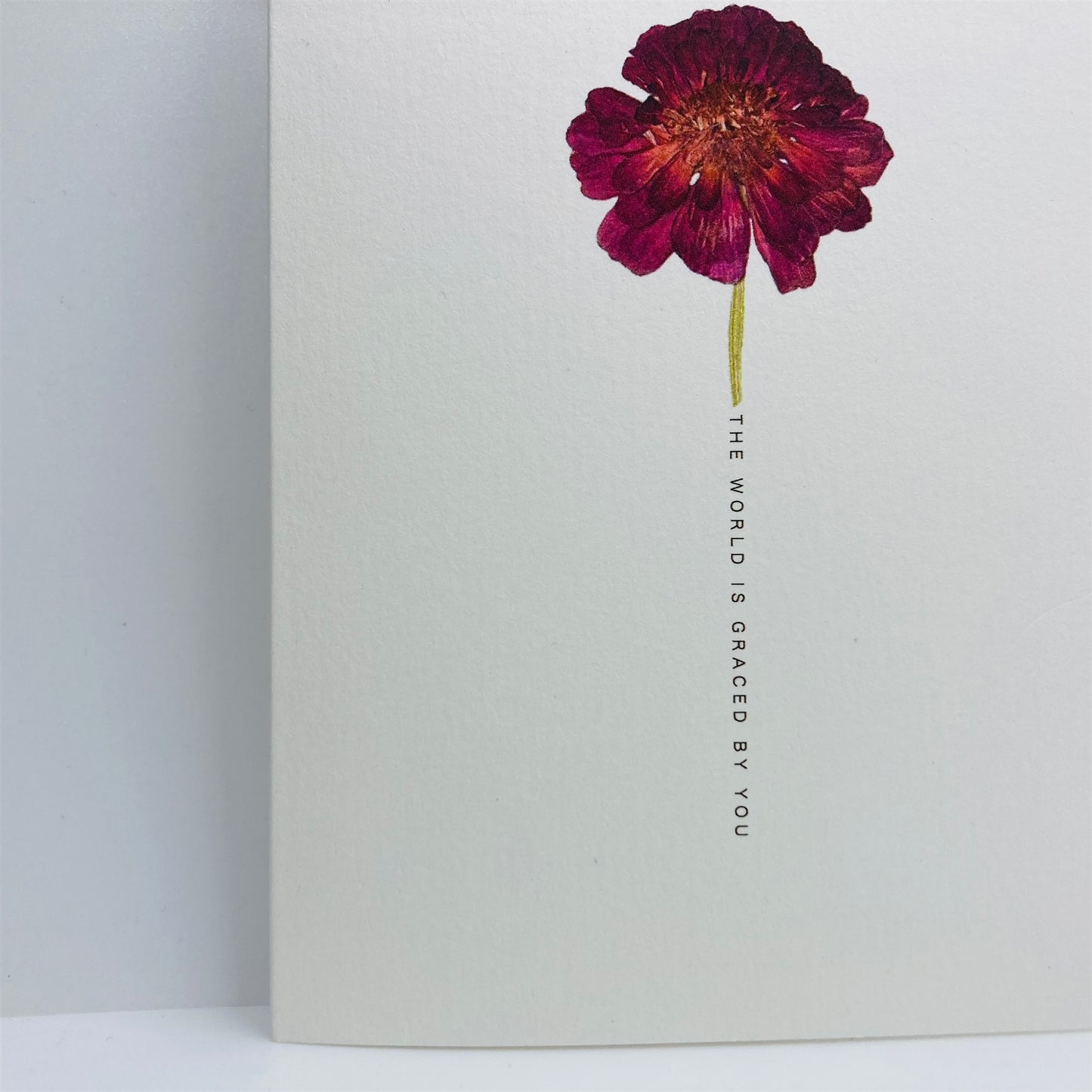 Pressed Flower Greeting Cards