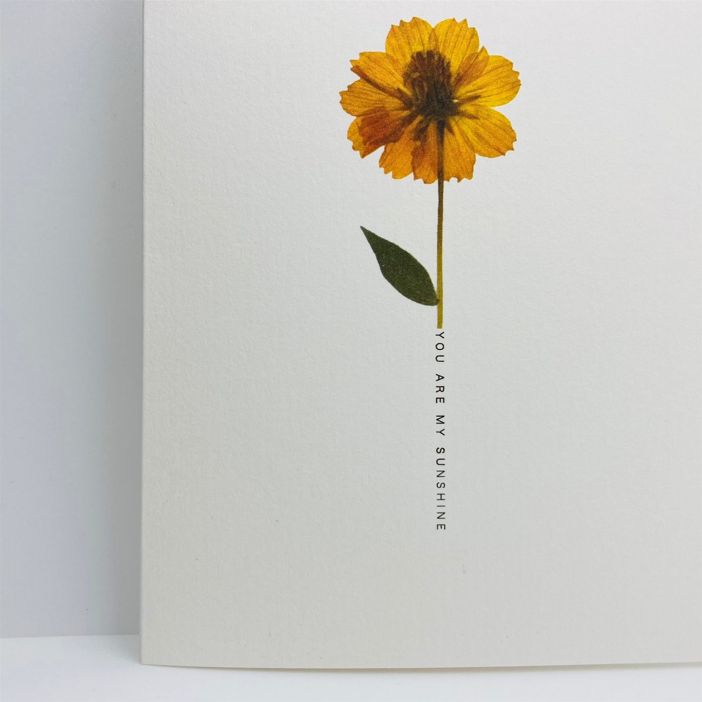 Pressed Flower Greeting Cards