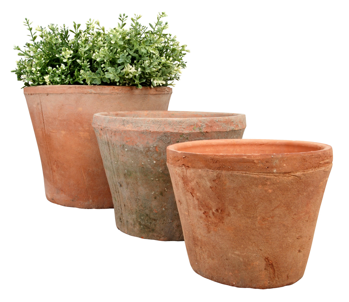 A set of three aged terracotta round flower pots—the "Aged Terracotta Set of 3 Round Flower Pots - Large"—are arranged in a row. The largest pot, ideal for garden displays, holds green foliage plants, while the two smaller pots stay empty, highlighting their natural textures and earthy tones.