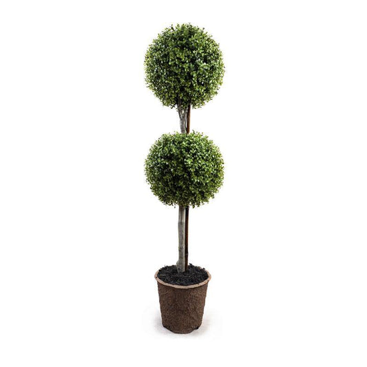 Boxwood Double Ball Topiary
