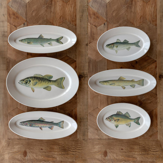 Collected Fish Platters