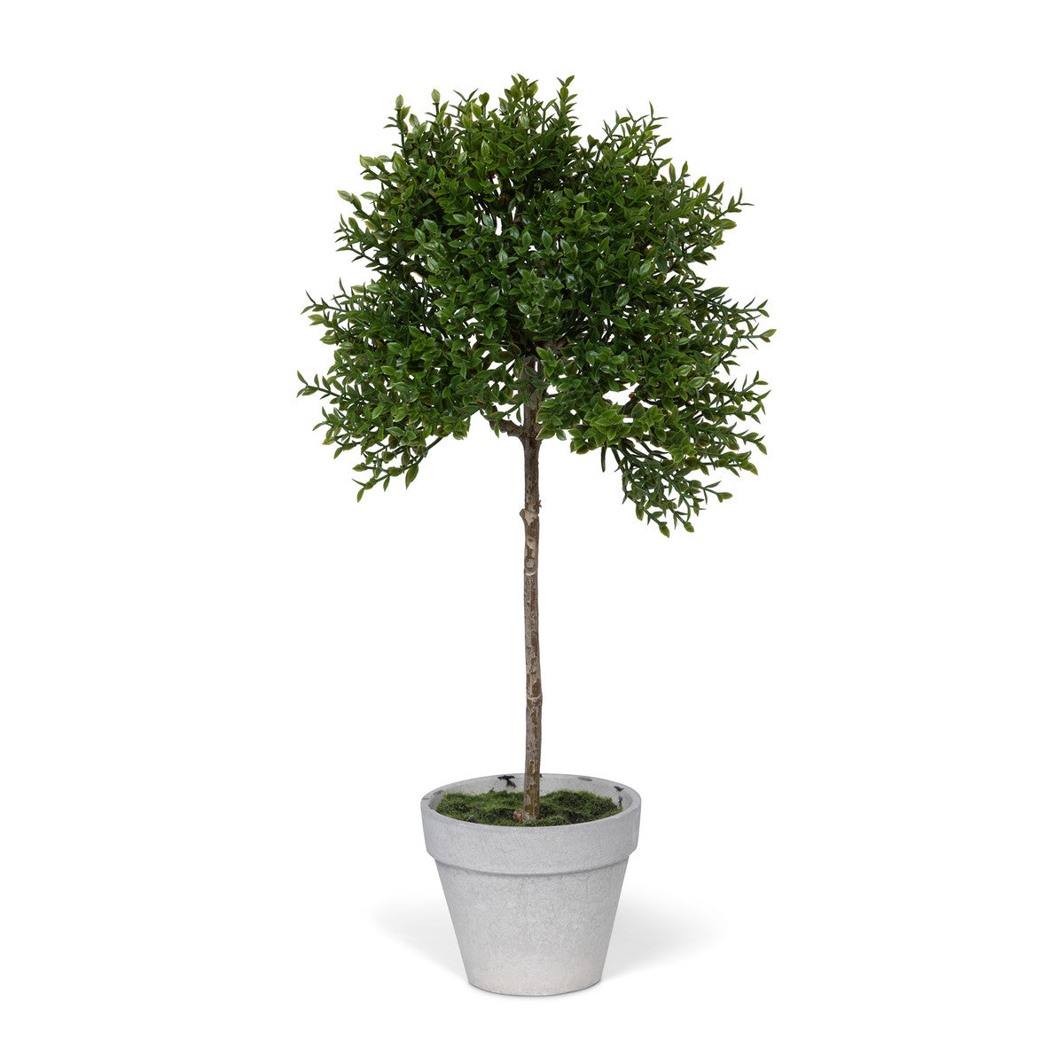 potted faux plants Potted Thyme Topiary | Faux Plants