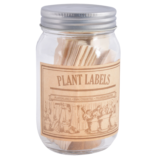 Wooden Plant Labels in Jar