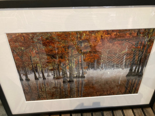 Fall in the Coniferous Swamp - Art