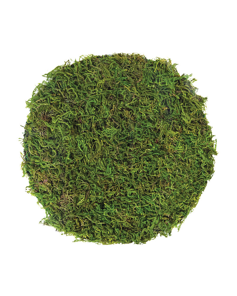 Moss Placemat, Forest Moss, 12"