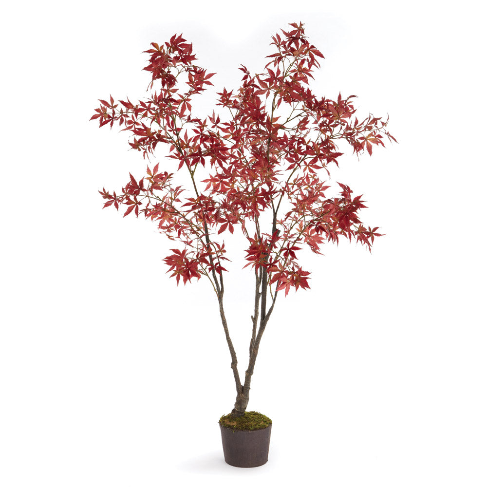 Red Maple Tree Drop-in 84"H