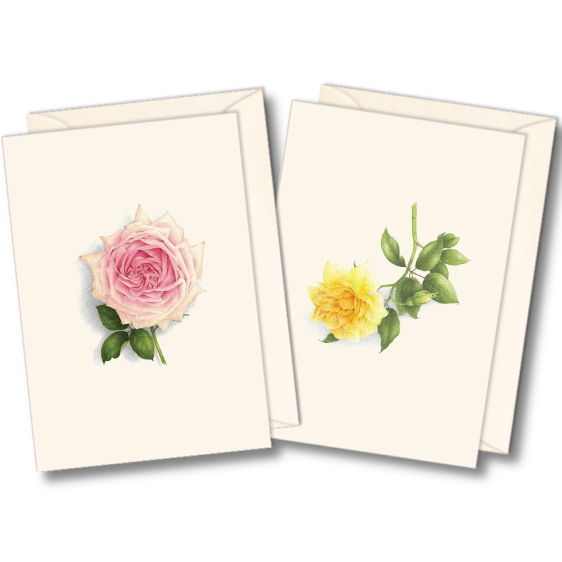 Floral & Botanical Boxed Note Cards - Select Style