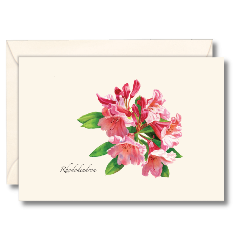 Floral Boxed Note Cards