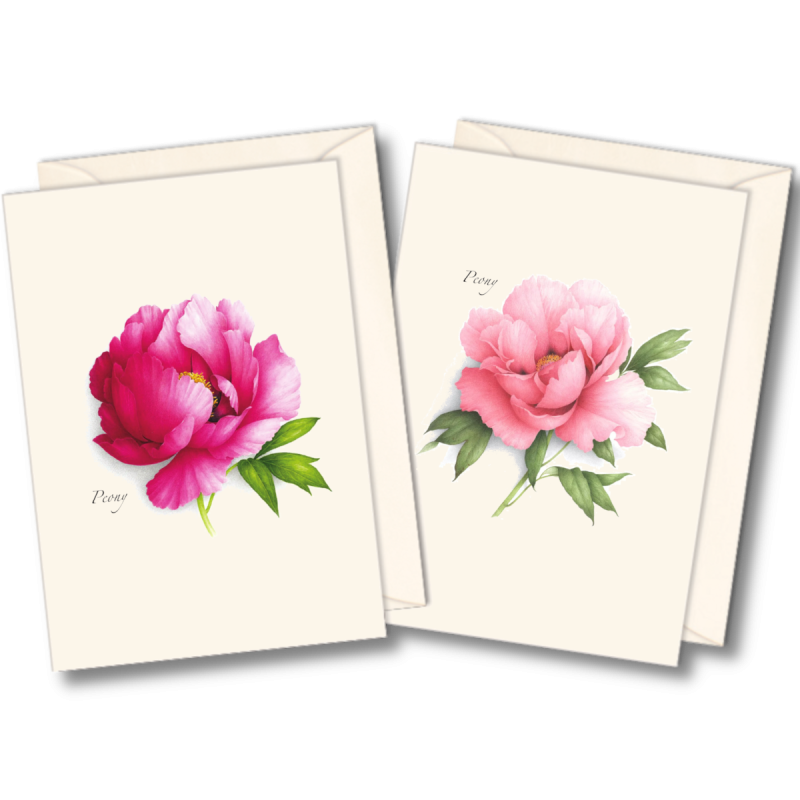 Floral & Botanical Boxed Note Cards - Select Style