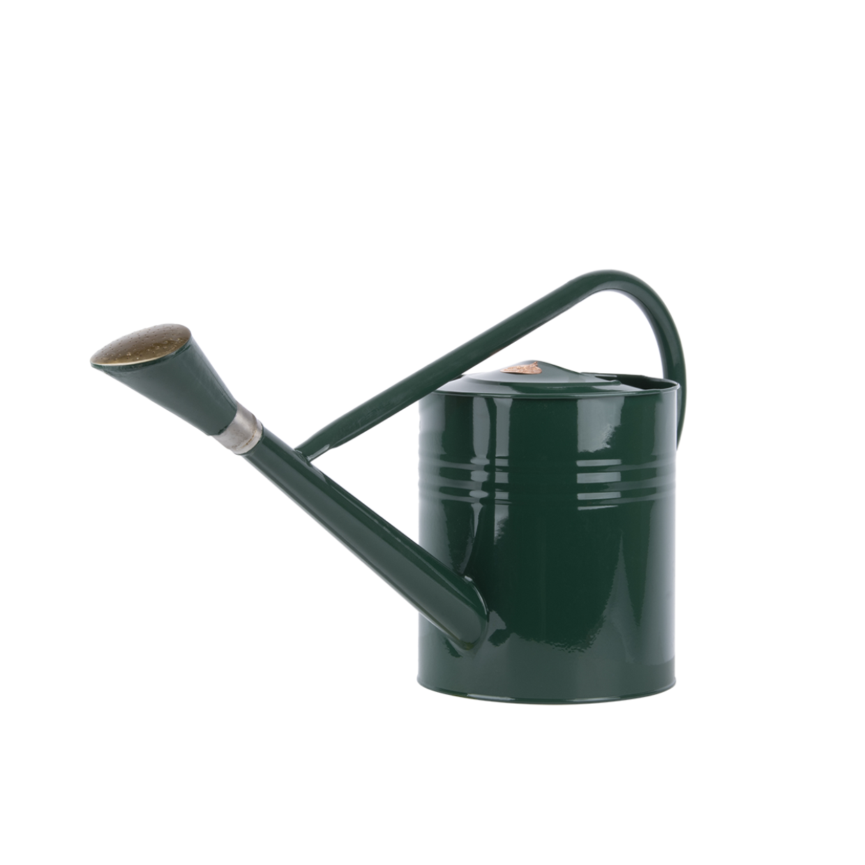Tall Watering Can, Green