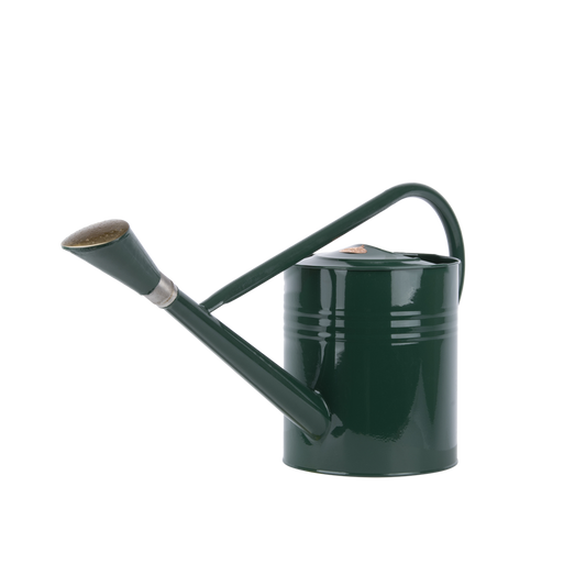 Tall Watering Can, 7 L, Metal, Green