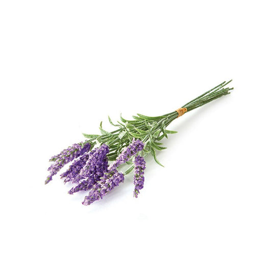 French Lavender, Bundle of 12