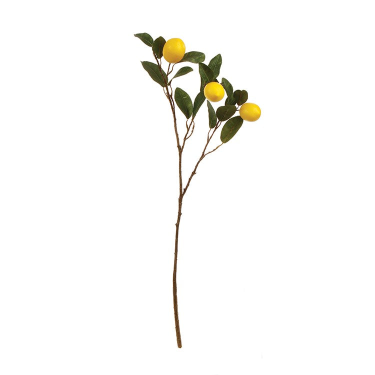 Lemon Branch 29.5"H