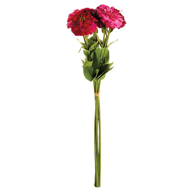 Garden Zinnias Bundle