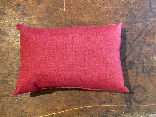 Red Outdoor Pillow