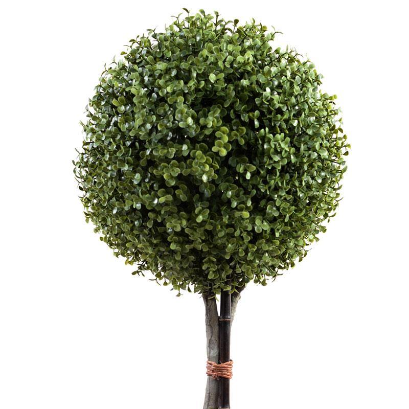 Boxwood Ball Topiary