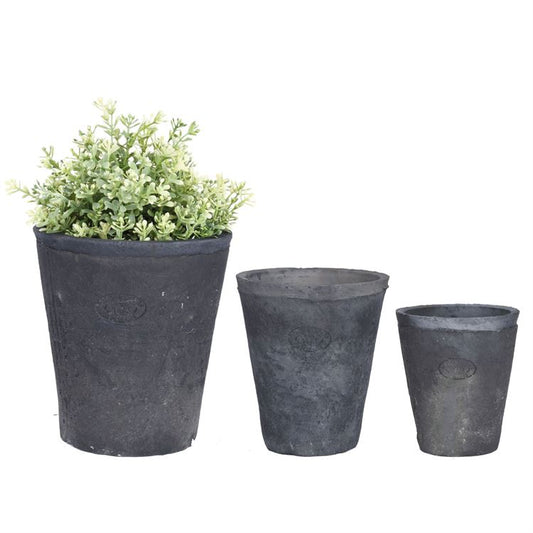 Three Aged Terracotta Round Flower Pots are arranged in a row from largest to smallest. The largest pot on the left holds a lush green plant with small leaves, while the two smaller ones remain empty. With their subtle presence, these pots can enhance any Tuscan-themed patio against a crisp white background.
