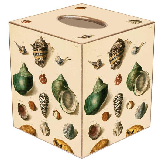 Shells on Cream Tissue Box Cove