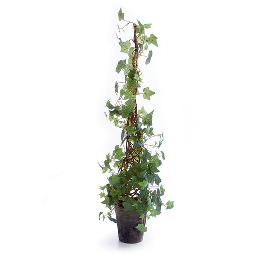 Ivy Topiary