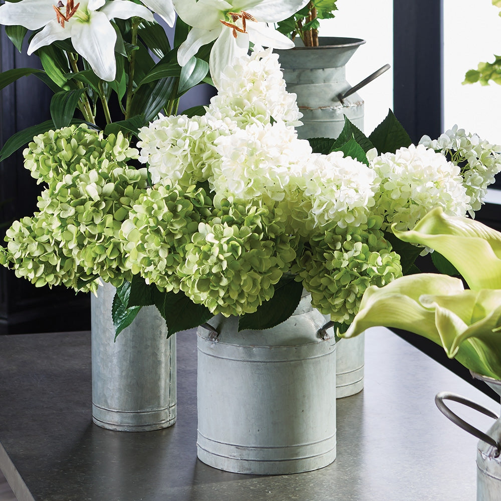 Cone Hydrangea Stems