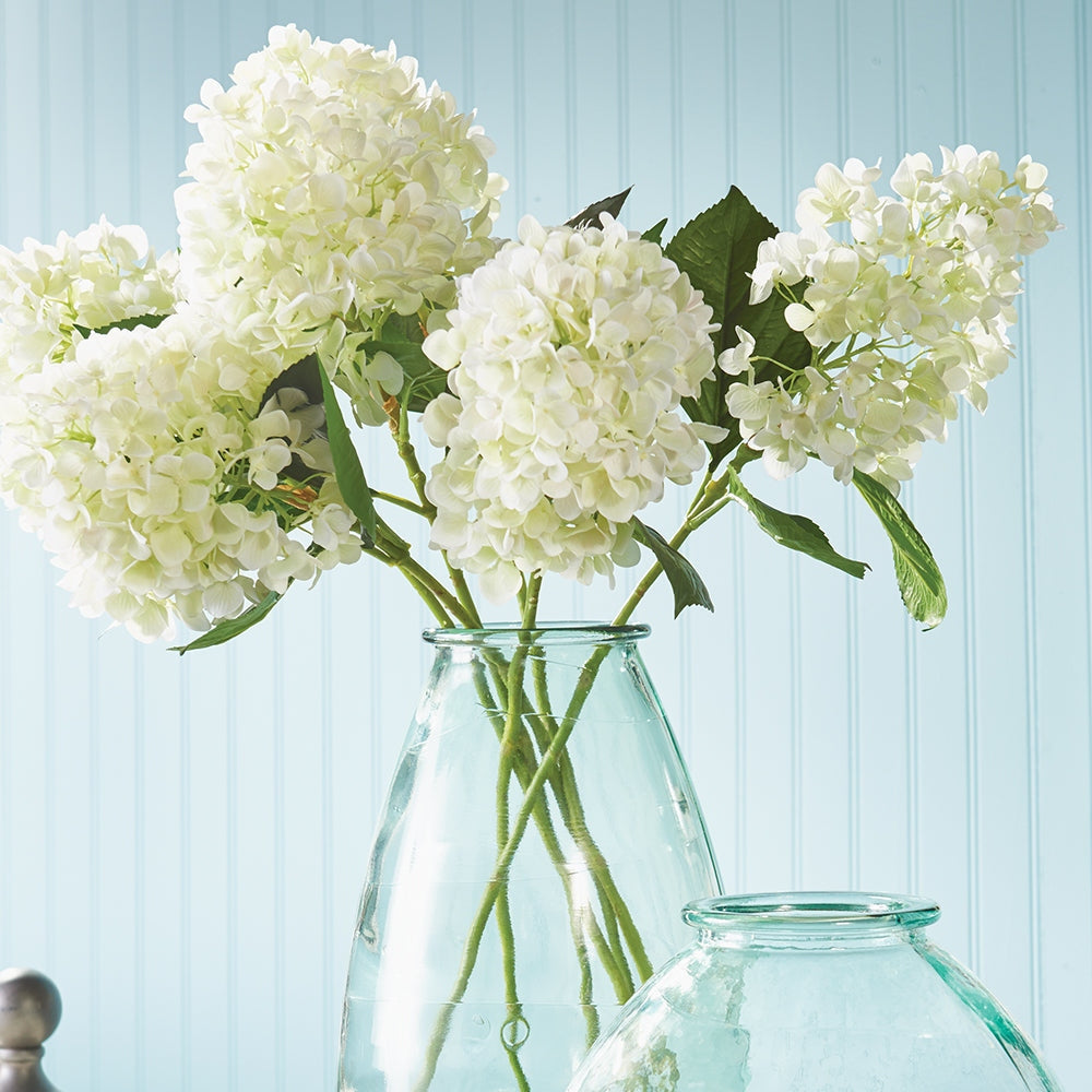 Cone Hydrangea Stems