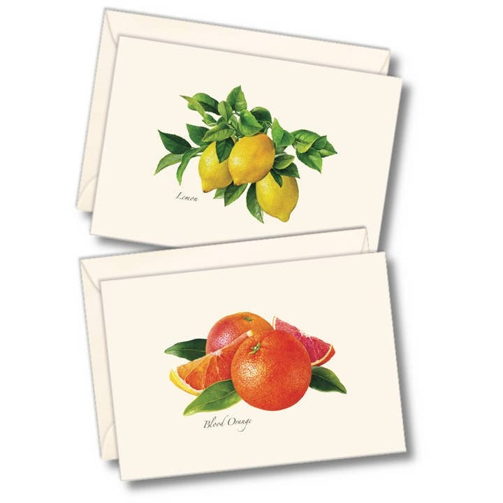 Fruit Boxed Note Cards