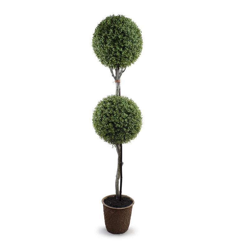 Double Boxwood Ball Topiary