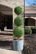 Triple Boxwood Ball Topiary