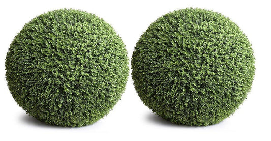 Boxwood Ball for Outdoors