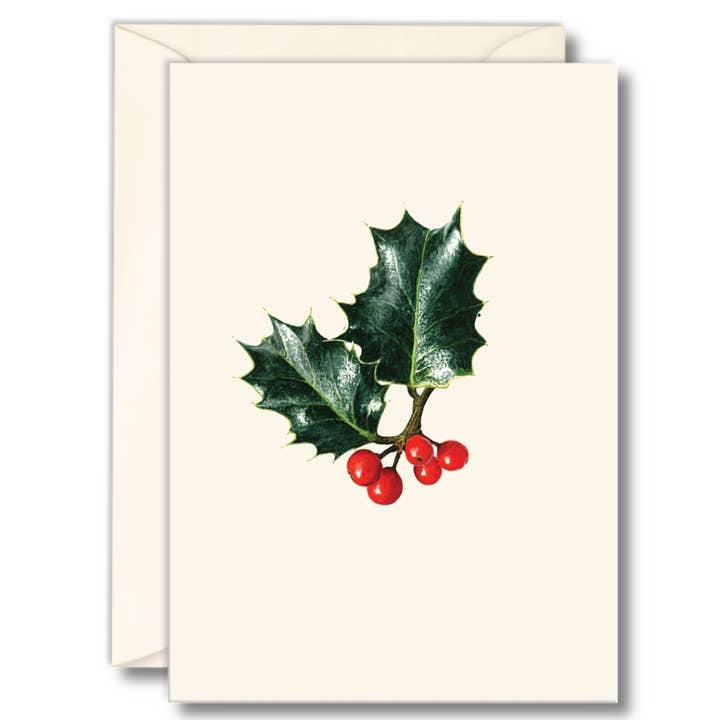 Winter Greenery Boxed Note Cards