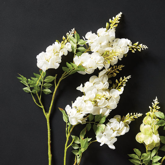 Wisteria Stems