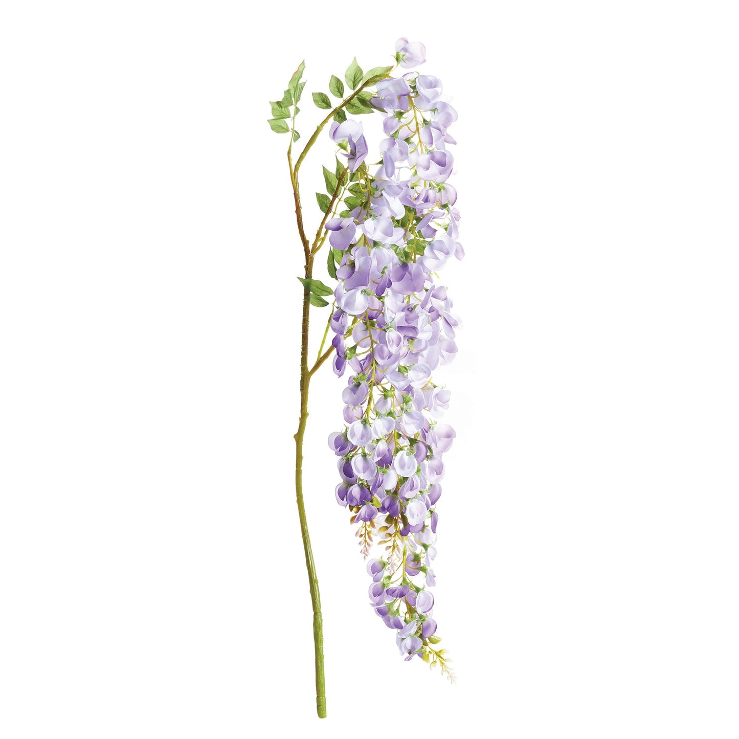 Weeping Wisteria Stem - 28"