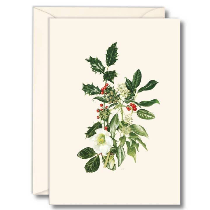 Winter Greenery Boxed Note Cards