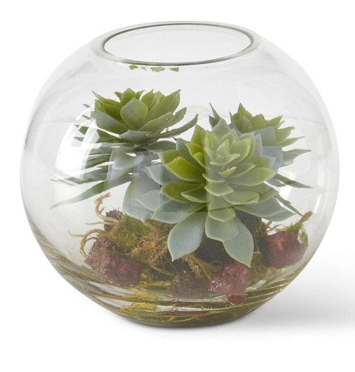 Round Glass Succulent Terrarium