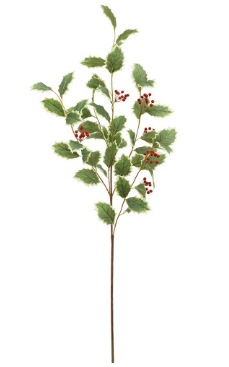 Variegated Holly Spray with Berries - 40"
