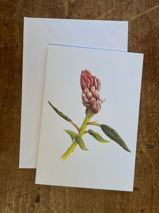 Rhododendron Notecards - Valerie Wall
