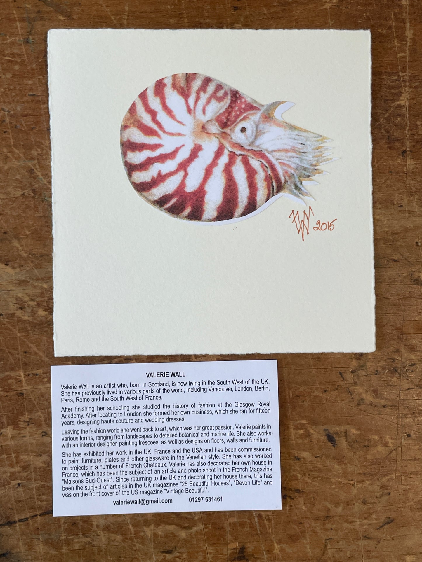 Nautilus Art Card Set (10 pcs.) - Valerie Wall