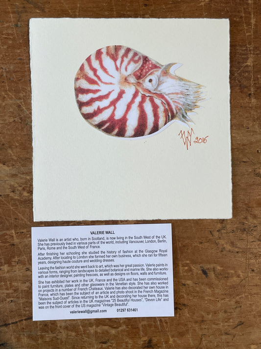 Nautilus Art Card Set (10 pcs.) - Valerie Wall