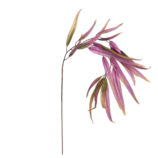 Willow Eucalyptus Stem - 37"