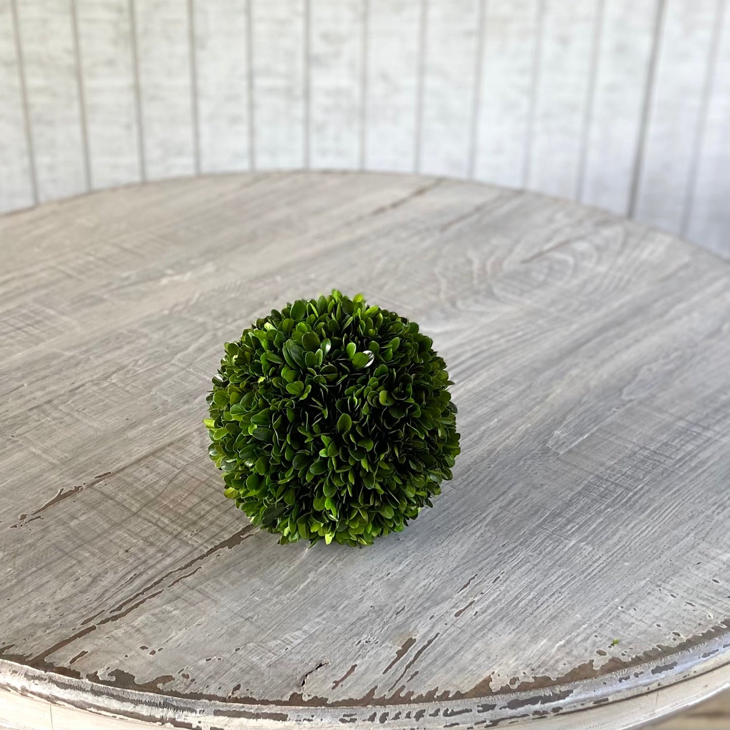 Preserved Boxwood Balls