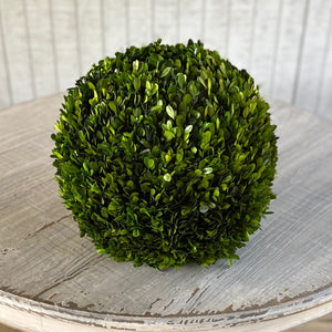 Preserved Boxwood Balls