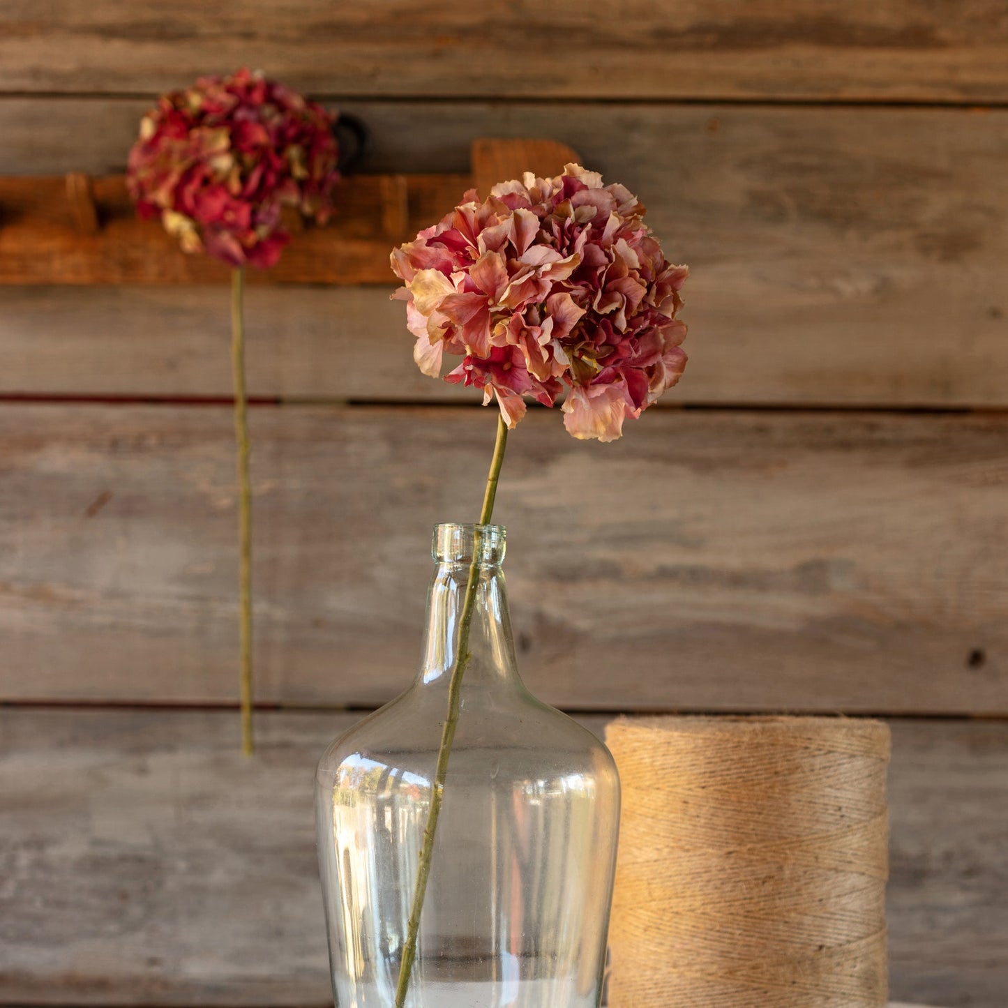 Hydrangea Stem