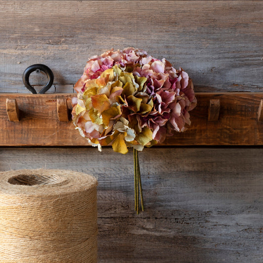 Hydrangea Bundle