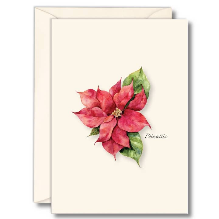 Winter Themed Boxed Note Cards